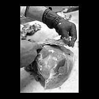 Fleischerei - Kettenhandschuh gegen Schnittverletzungen